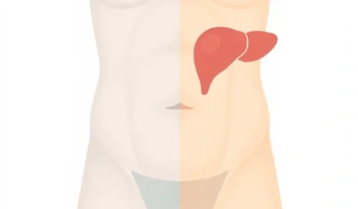 A medical illustration showing a human torso with visible excess abdominal fat, contrasted with a healthy torso, subtle glucose molecules in the bloodstream near the liver and pancreas, soft blue and warm beige color palette, clinical yet compassionate tone, no text or labels