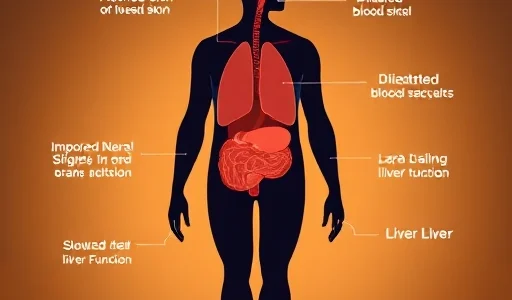 A human body silhouette showing internal organs reacting to alcohol consumption, with visual effects like flushed skin, dilated blood vessels, impaired neural signals in the brain, and slowed liver function, depicted in a clean, minimalist scientific illustration style with soft gradients and subtle anatomical details