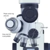 A detailed illustration of the Olympus BX43 microscope showing the phase contrast and polarization contrast adjustment controls: phase contrast ring slider and turret with labeled objectives, and polarization analyzer and polarizer dials with visible light paths indicating phase shift and polarized light interaction, all rendered in a clean, technical, smallHQ style with precise linework and subtle shading, no text or labels visible